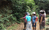 One Day Nature Exploration: Chiew Larn Lake