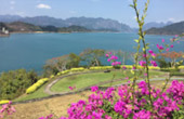 One Day Nature Exploration: Chiew Larn Lake