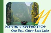 One Day Nature Exploration: Chiew Larn Lake