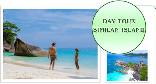 Day Tour Similan Island