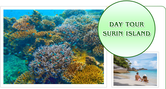 Day Tour Surin Island