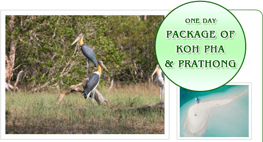 Package of Koh Pha and Prathong islands