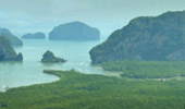 Package PhangNga Similan Bamboo Rafting