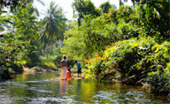 Package PhangNga Similan Bamboo Rafting